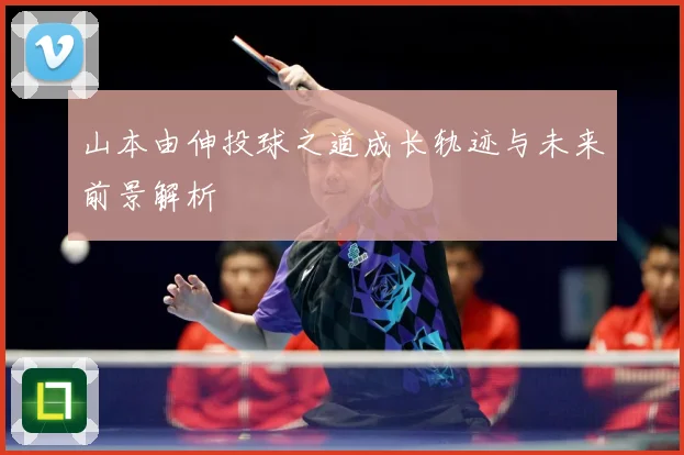 山本由伸投球之道成长轨迹与未来前景解析